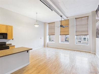 Terra Cotta Lofts Building unit 201, Saint Louis, MO 63103 - photo 6