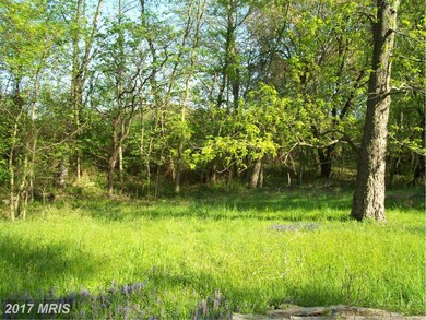 35321 Snake Hill Rd, Middleburg, VA 20117 - photo 2