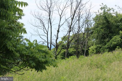 23 B St, Scherr, WV 26726 - photo 6