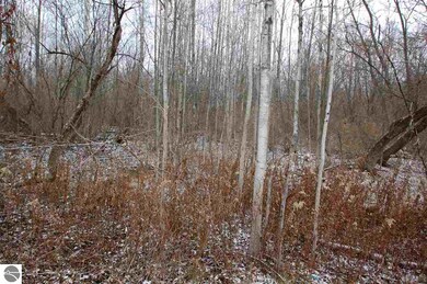 0 ~ #14 Griffin Rd, West Branch, MI 48661 - photo 3