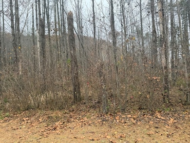 0 Rushing Water Trail unit 154191, Hayesville, NC 28904 - photo 3