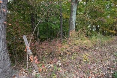 0 Nichols Lane Tract #1