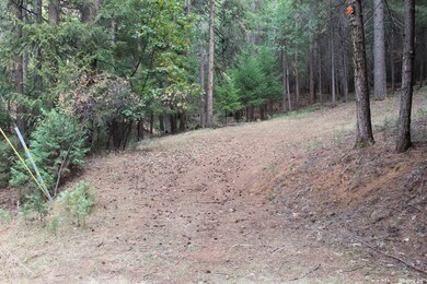 5511 Shooting Star Rd, Pollock Pines, CA 95726 - photo 5