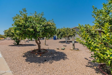 34-web-or-mls-McKellips-34