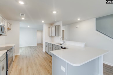 629 Clementine Run, Gilbert, SC 29054 - photo 5