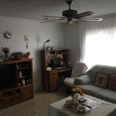 414 W PIUTE PIC 3