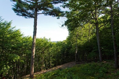 33 Gosses Hill Rd, Camden, ME 04843 - photo 2