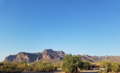 Check out the View!