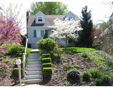Picture taken a few years ago shows tree in bloom 