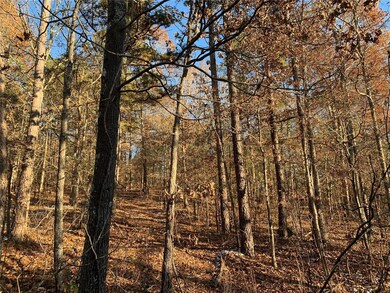 0 S27 T25 R4 unit 19084386, Poplar Bluff, MO 63901 - photo 2