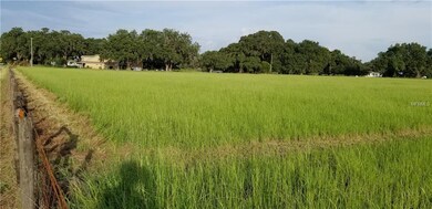 0 Sutton Oaks Ln unit T3155595, Zephyrhills, FL 33541 - photo 6