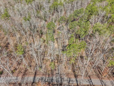 05-DJI_20250317112719_0308_D