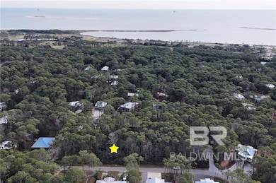 1011 Maldonado Place unit 6, Dauphin Island, AL 36528 - photo 6