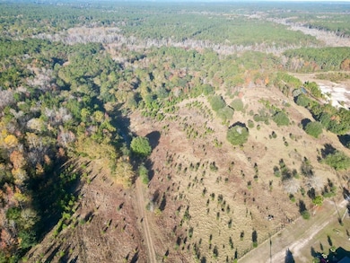 Virginia Rd unit LotWP001, Dorchester, SC 29437 - photo 3
