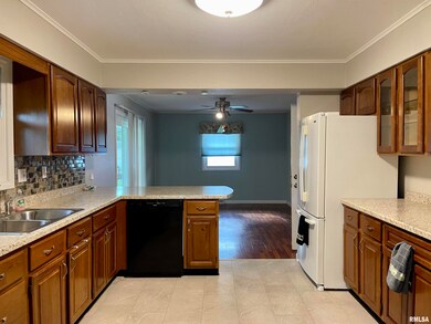 175 Half Moon St, Lincoln, IL 62656 - photo 2