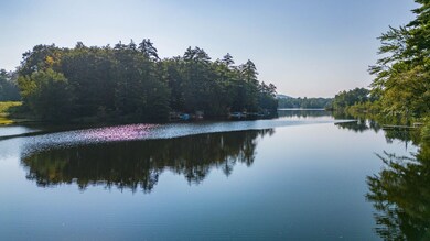 50 Pickerel Pond Rd, Limerick, ME 04048 - photo 2
