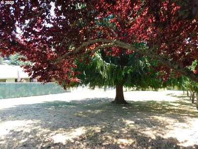 unlisted-address, Myrtle Point, OR 97458 - photo 4