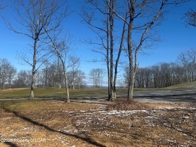 46 VV Turnberry Ln, Hazle Township, PA 18202 - photo 3