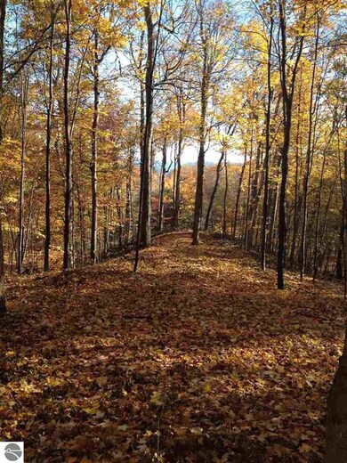 0 N Vincer Way unit 1 1878399, Northport, MI 49670 - photo 5