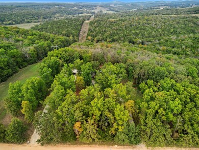 Tbd Tall Timbers Trail, Gainesville, MO 65655 - photo 4