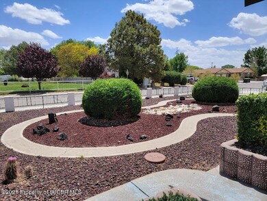 911 N Spencer Ln, Bloomfield, NM 87413 - photo 4