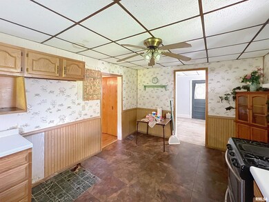 409 N Ridge St, Cambridge, IL 61238 - photo 7