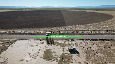 dji_fly_20250325_073814_335_174286558756