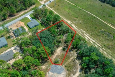 2779 W Tracy Ct, Citrus Springs, FL 34433 - photo 6