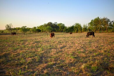 unlisted-address, Salado, TX 76571 - photo 7