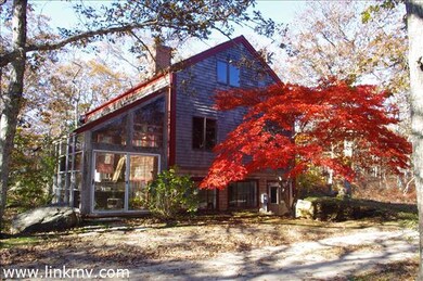 Amazing Red Maple