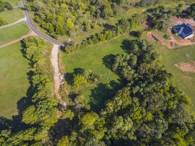 The woods at the back of the property are yours to explore! Enjoy an evening of camping or hiking without sacrificing the luxury of your comfy bed.