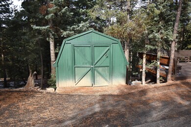 175 N Apache 8x10 Shed 01