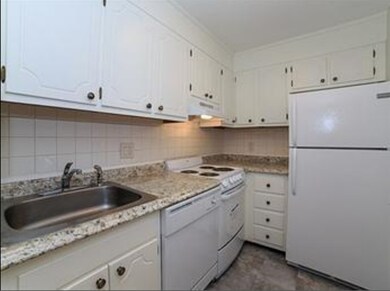 287 Harvard St unit 55, Cambridge, MA 02139 - photo 5