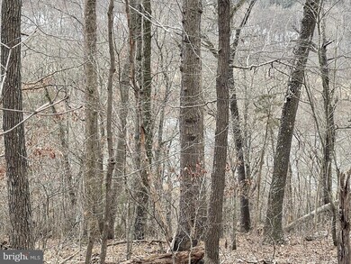 0 River View Rd unit VAPA105930, Rileyville, VA 22650 - photo 4