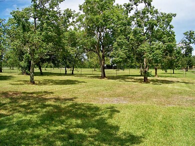 2130 County Road 163, Alvin, TX 77511 - photo 7