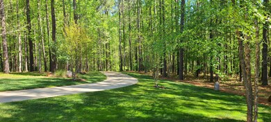 275 Hawfields Dr, Pittsboro, NC 27312 - photo 6