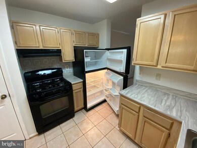 9302 Town Place Dr, Owings Mills, MD 21117 - photo 7