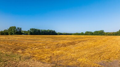 Tbd 430 Ave SW, Bygland, MN 56723 - photo 4