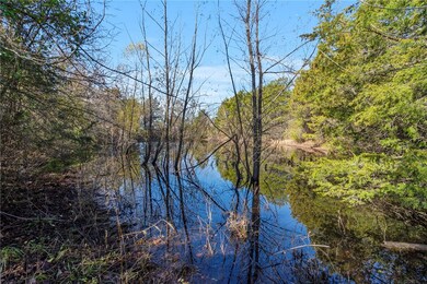 136 Downing (Wc) Rd, Fayetteville, AR 72701 - photo 3