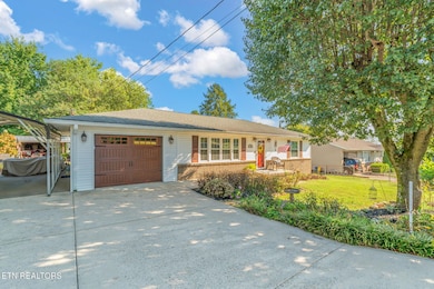 3-web-or-mls-20 Webster Court-35