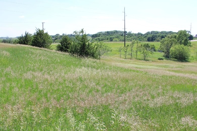 0 S Dakota 38, Mitchell, SD 57301 - photo 6