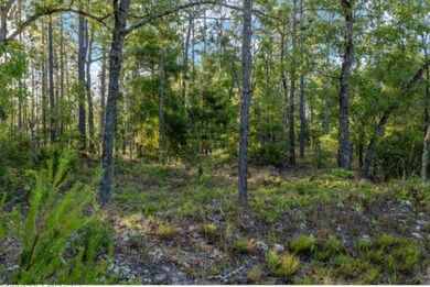 7395/7397 Hoosier Ave (2 Lots), Keystone Heights, FL 32656 - photo 3