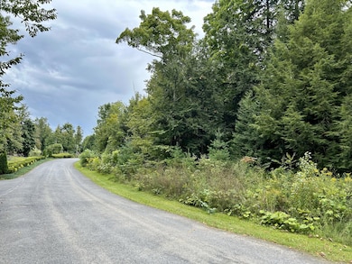 74 Bluff Point Dr, Plattsburgh, NY 12901 - photo 4