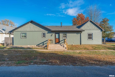 201 W Delavan St, New Holland, IL 62671 - photo 3