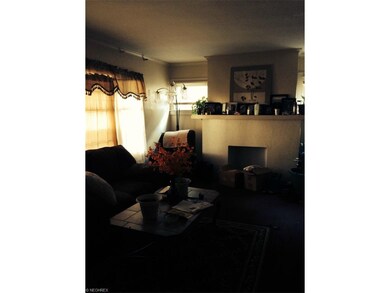 1776 S Taylor Rd, Cleveland Heights, OH 44118 - photo 4