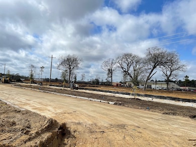 11691 Ruffian Dr, Willis, TX 77318 - photo 7