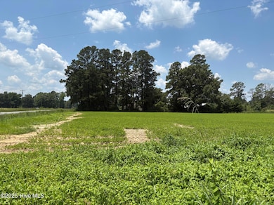 0 Near James B White Hwy N, Clarkton, NC 28433 - photo 5