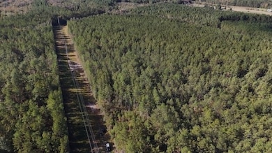 0 McDonald Rd, Lucedale, MS 39452 - photo 3