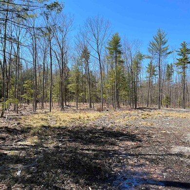 00 Foxtrot Lot 20 Dr unit 20, Farmington, NH 03835 - photo 5