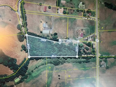 130 Copra Way, Newport, TN 37821 - photo 7